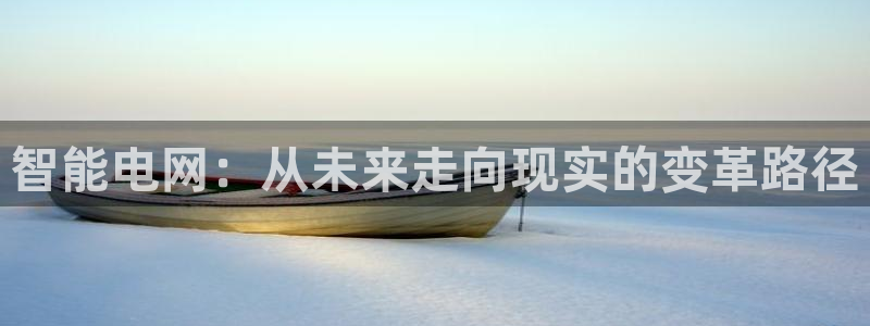尊龙时凯体育平台总代理：智能电网：从未来走向现实的变革路径