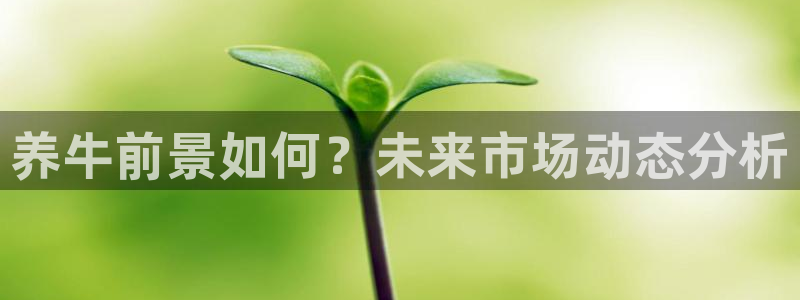 尊龙时凯体育：养牛前景如何？未来市场动态分析