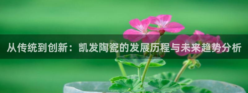 尊龙时凯平台官网：从传统到创新：凯发陶瓷的发展历程与未来趋势分析