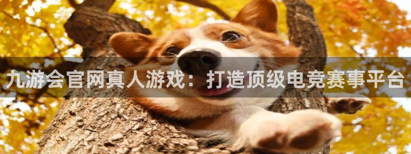 尊龙时凯体育注册登录入口：九游会官网真人游戏：打造顶级电竞赛事平台