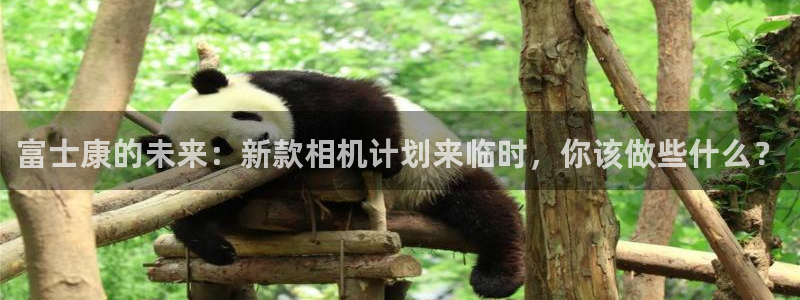 尊龙时凯2登录地址：富士康的未来：新款相机计划来临时，你该做些什么？