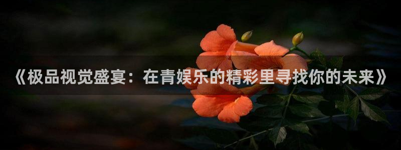 尊龙时凯4：《极品视觉盛宴：在青娱乐的精彩里寻找你的未来》