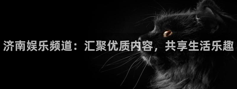 尊龙时凯体育凯捷平台招商：济南娱乐频道：汇聚优质内容，共享生活乐趣