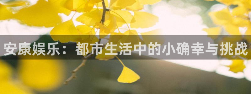 尊龙时凯体育凯捷平台代理：安康娱乐：都市生活中的小确幸与挑战