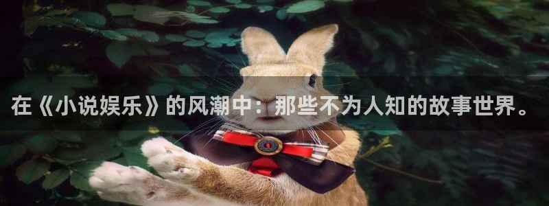 尊龙时凯2登录入口：在《小说娱乐》的风潮中：那些不为人知的故事世界。