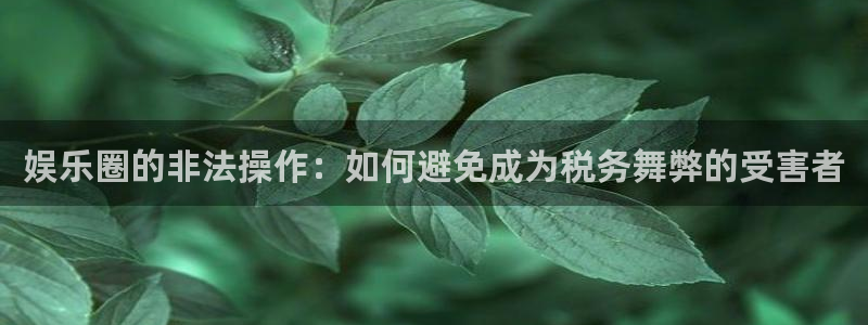尊龙时凯5：娱乐圈的非法操作：如何避免成为税务舞弊的受害者