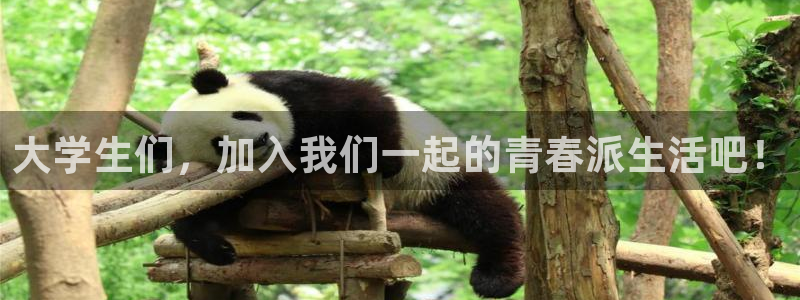 尊龙时凯体育4：大学生们，加入我们一起的青春派生活吧！