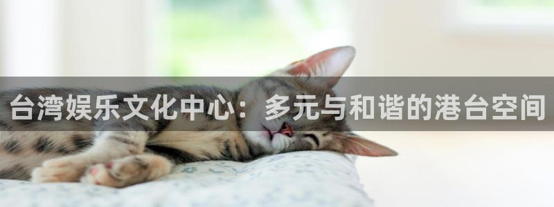 尊龙时凯2注册：台湾娱乐文化中心：多元与和谐的港台空间