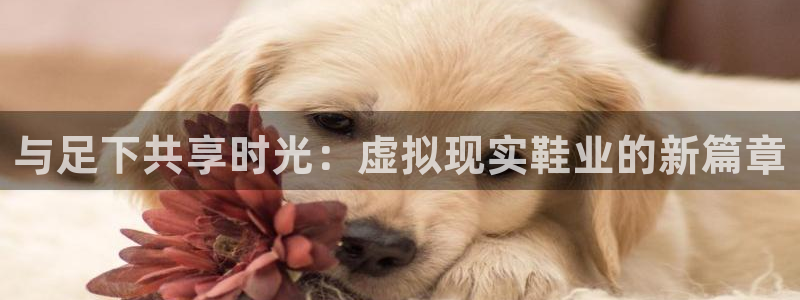 尊龙时凯股份：与足下共享时光：虚拟现实鞋业的新篇章