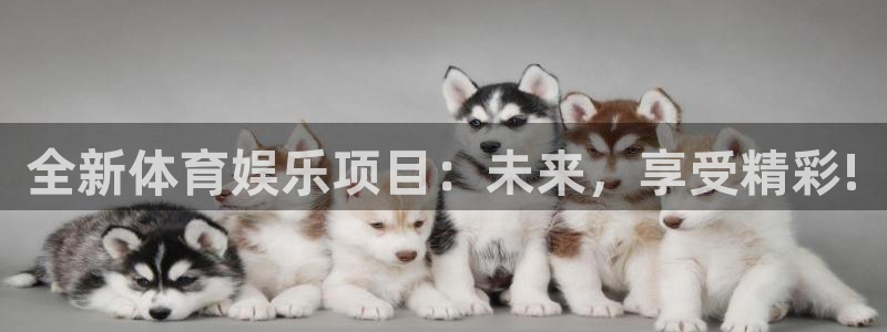 尊龙时凯代理：全新体育娱乐项目：未来，享受精彩!