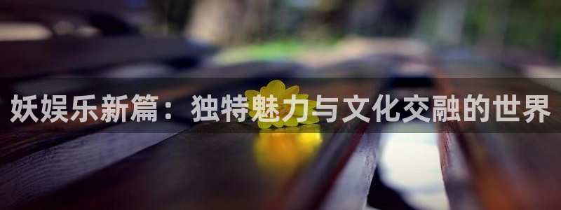 尊龙时凯4：妖娱乐新篇：独特魅力与文化交融的世界
