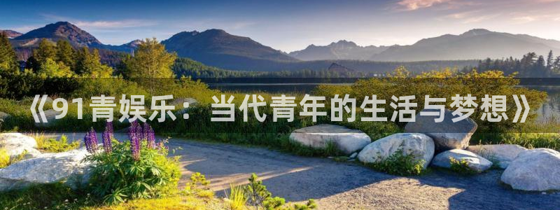 尊龙时凯体育代理：《91青娱乐：当代青年的生活与梦想》