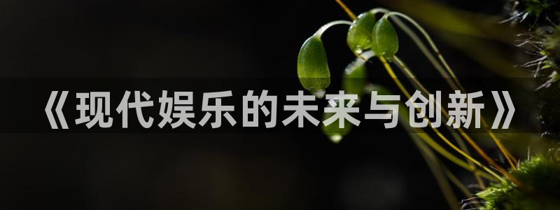 尊龙时凯3平台登录注册：《现代娱乐的未来与创新》