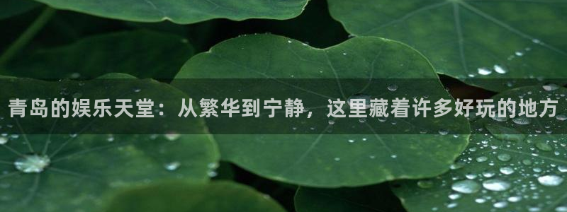 尊龙时凯2平台登录：青岛的娱乐天堂：从繁华到宁静，这里藏着许多好玩的地方