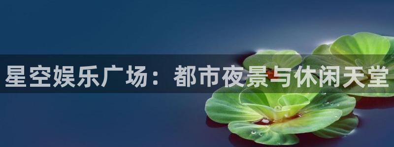 尊龙时凯登录：星空娱乐广场：都市夜景与休闲天堂