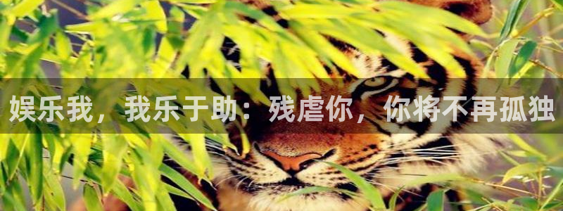尊龙时凯5招商：娱乐我，我乐于助：残虐你，你将不再孤独