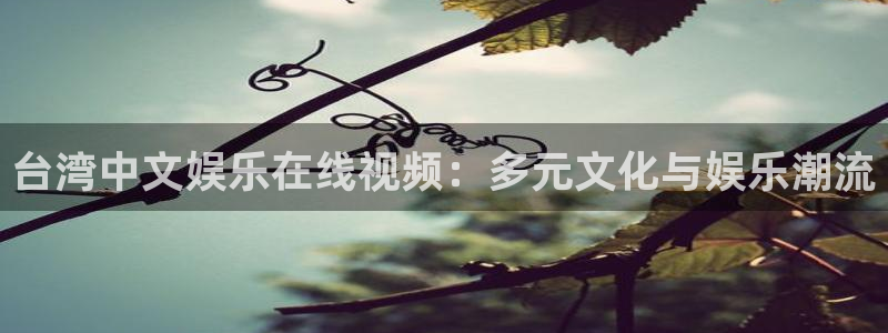 尊龙时凯平台招商：台湾中文娱乐在线视频：多元文化与娱乐潮流
