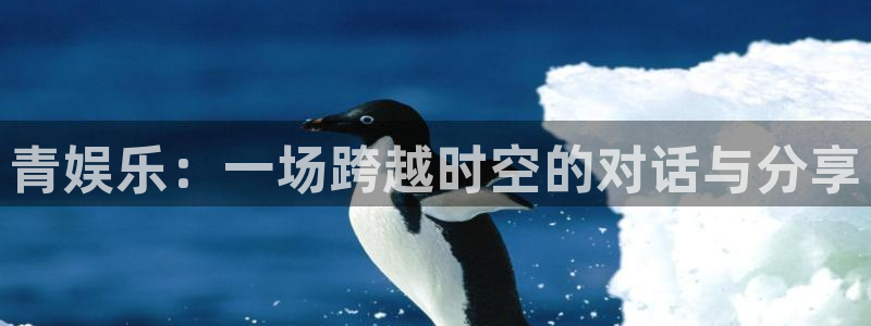 尊龙时凯平台开户：青娱乐：一场跨越时空的对话与分享