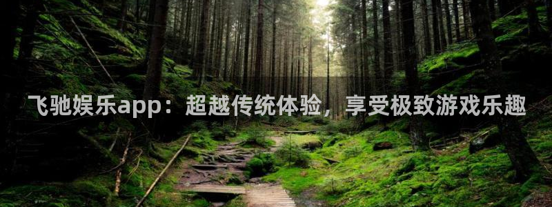 尊龙时凯能源：飞驰娱乐app：超越传统体验，享受极致游戏乐趣