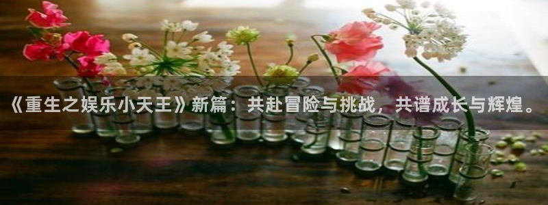 尊龙时凯平台注册入口：《重生之娱乐小天王》新篇：共赴冒险与挑战，共谱成长与辉煌。