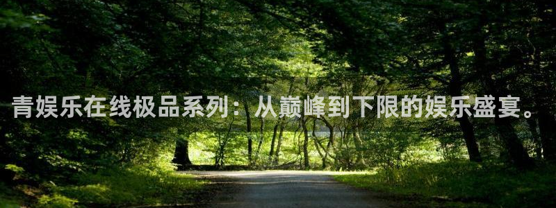尊龙时凯集团：青娱乐在线极品系列：从巅峰到下限的娱乐盛宴。