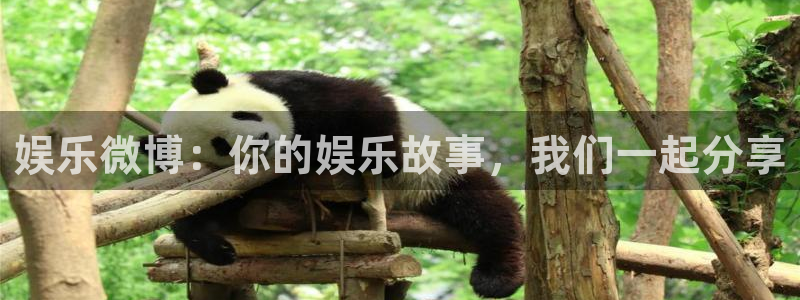 尊龙时凯5招商