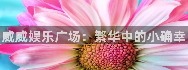 尊龙时凯体育凯捷登陆