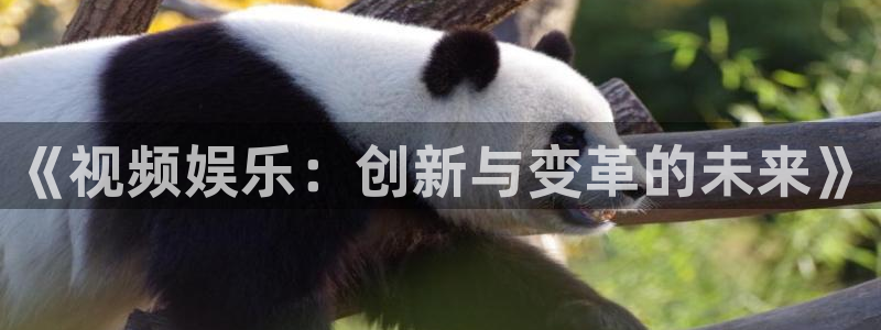 尊龙时凯体育免费注册入口：《视频娱乐：创新与变革的未来》