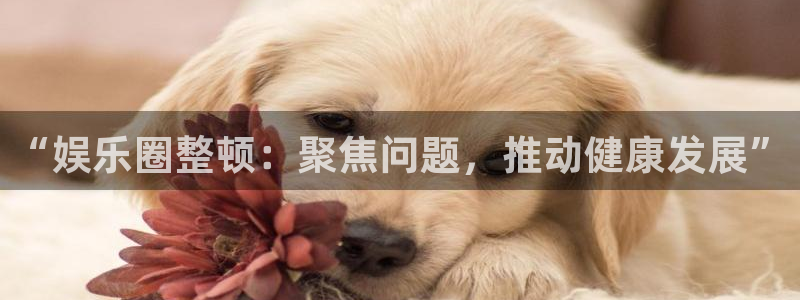 尊龙时凯体育凯捷平台注册：“娱乐圈整顿：聚焦问题，推动健康发展”