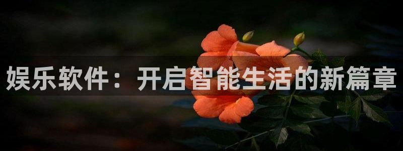 尊龙时凯2平台：娱乐软件：开启智能生活的新篇章