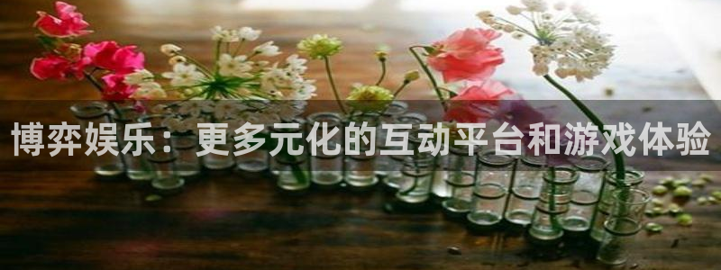 尊龙时凯体育代理申请流程：博弈娱乐：更多元化的互动平台和游戏体验