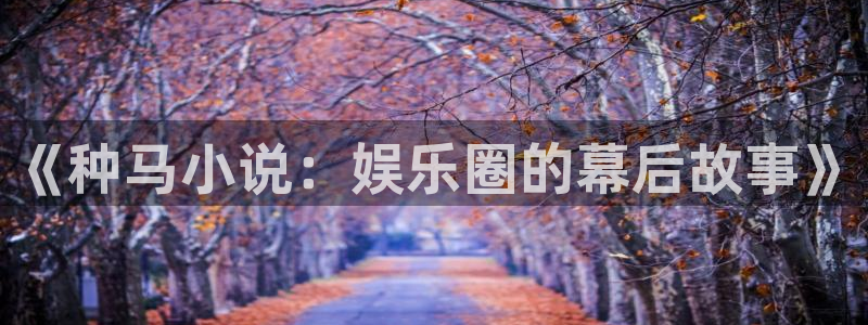 尊龙时凯：《种马小说：娱乐圈的幕后故事》
