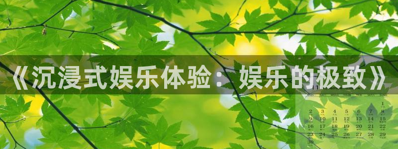 尊龙时凯体育f开号：《沉浸式娱乐体验：娱乐的极致》