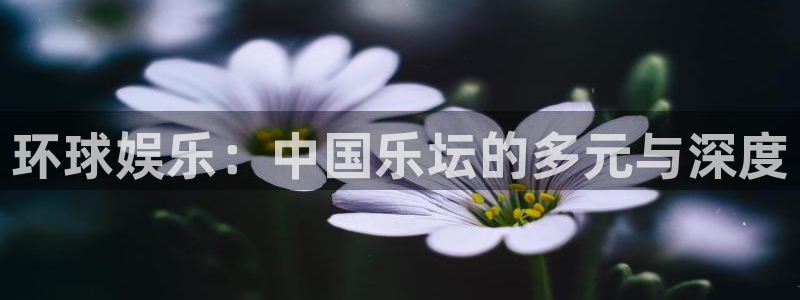 尊龙时凯2官网：环球娱乐：中国乐坛的多元与深度